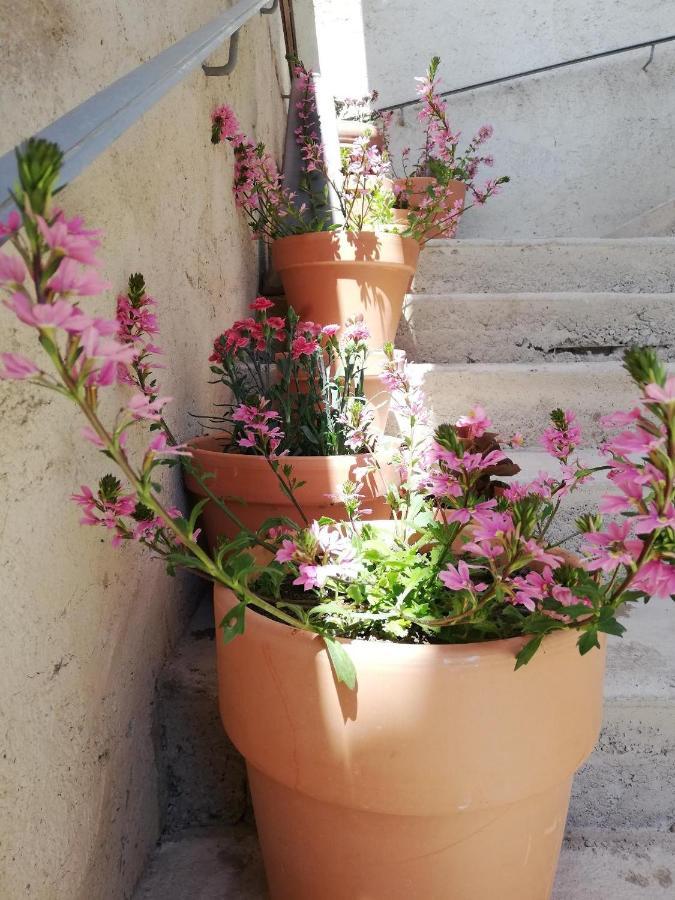 Holiday home La Terrasse *